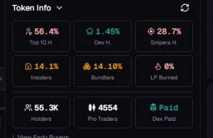 Token statistics grid showing top ten holder share, developer holdings, sniper share, insiders, bundlers, LP burned, holder count, pro traders and dex paid status